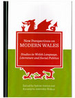 Research paper thumbnail of New Perspectives of Modern Wales - Studies in Welsh Language, Literature and Social Politics