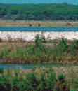 Research paper thumbnail of Historia de la vegetación y cambio climático durante el periodo Campaniforme en la Cuenca Mediterránea y las Islas Británicas.