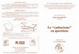 Research paper thumbnail of "La lutte contre l’hérésie : un moyen de gouvernement de l’Église et du roi dans la France méridionale ?" (co-paper with J. Théry), Cahiers de Fanjeaux 55, July 8-11, 2019, org. J-L. Biget