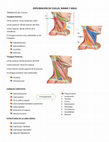 Research paper thumbnail of EXPLORACION DE CUELLO, MAMA Y AXILA