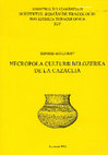 Research paper thumbnail of Agulnicov S. 1996. Necropola culturii Belozerca de la Cazaclia [Burial ground of Belozerca culture near Cazaclia]