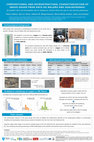 Research paper thumbnail of Compositional and Microstructural characterization of grave goods from Anta do Malhão and Soalheironas: an insight into the diachronic use of arsenical copper from the 3rd to the 2nd millennium BC