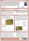Research paper thumbnail of Die vertikale Wirtschaftsorganisation der Paracas-Kultur in Palpa, Südperu, während des Späten Formativums (370-200 v. Chr.)