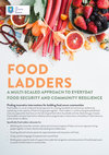 Research paper thumbnail of FOOD LADDERS A MULTI-SCALED APPROACH TO EVERYDAY FOOD SECURITY AND COMMUNITY RESILIENCE Finding innovative interventions for building food secure communities