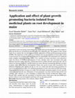 Research paper thumbnail of Application and effect of plant growth promoting bacteria isolated from medicinal plants on root development in maize