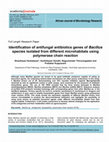 Research paper thumbnail of Identification of antifungal antibiotics genes of Bacillus species isolated from different microhabitats using polymerase chain reaction