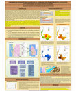 Research paper thumbnail of ASSESSMENT OF HYDROGEOLOGICAL SCENARIO IN A CROSS-SECTION FROM ANAMADUWA TO KALPITIYA