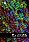 Research paper thumbnail of Biomimesis. El camino hacia un diseño eficiente