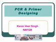 Research paper thumbnail of PCR & Primer Designing