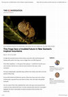 Research paper thumbnail of A tiny Choerophryne frog from the Foja Mountains in New Guinea. This one is a calling male. Tim Laman, Author provided Tiny frogs face a troubled future in New Guinea’s tropical mountains