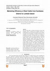 Research paper thumbnail of Marketing Efficiency of Beef Cattle from Sumbawa District to Lombok Island