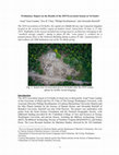 Research paper thumbnail of Preliminary Report on the Results of the 2019 Excavation Season at Tel Kabri