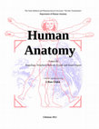 Research paper thumbnail of Human Human Anatomy Anatomy Volum III Angiology, Peripheral Nervous System and Sense Organs Collected and elaborated by