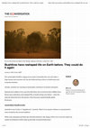 Research paper thumbnail of Bushfires have reshaped life on Earth before.  They could do it again