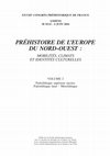 Research paper thumbnail of The Late Palaeolithic and Early Mesolithic in (north)eastern Germany