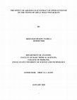 Research paper thumbnail of THE EFFECT OF AQUEOUS LEAF EXTRACT OF PIPER GUINEENSE ON THE TESTES OF ADULT MALE WISTAR RAT