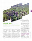 Research paper thumbnail of AGUACATE: El desierto verde mexicano