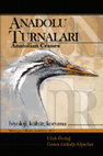 Research paper thumbnail of ANADOLU TURNALARI ANATOLIAN CRANES