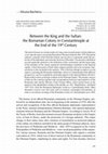 Research paper thumbnail of Between the King and the Sultan: the Romanian Colony in Constantinople at the End of the 19th Century