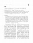 Research paper thumbnail of Mass specific oxygen uptake in the freshwater catfish Wallago attu20200331 68702 17i2igg