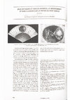 Research paper thumbnail of Jeux optiques et images animées, le mouvement et son illusion sur le papier au XVIIIe siècle