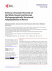 Research paper thumbnail of Patterns of genetic diversity of the white-nosed coati reveals phylogeographically structured subpopulations in Mexico