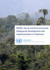 Research paper thumbnail of REDD+ Social and Environmental Safeguards Development and Implementation in Indonesia