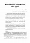 Research paper thumbnail of Kamuda Stajyerlik Sistemi Ne Kadar Etkin İşliyor