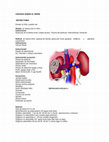 Research paper thumbnail of CIRUGIAS SOBRE EL RIÑÓN