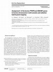 Research paper thumbnail of Assignment<sup>1</sup> of the bovine <i>PTGFR</i> and <i>HSD3B1</i> genes to bovine chromosome 3 with somatic and radiation hybrid panel mapping