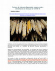 Research paper thumbnail of Turismo de Intereses Especiales espacio rural y alimentacion en tiempos de Covid1920200608 48632 mgbl8f