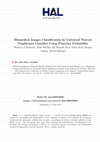 Research paper thumbnail of Biomedical Images Classification by Universal Nearest Neighbours Classifier Using Posterior Probability