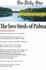 Research paper thumbnail of The love birds of Pabna