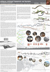 Research paper thumbnail of Müzelerde tarihsel anlatının mekansal karşılıkları - İTÜ MTK Dersi Kapsamında Üretilmiş Poster