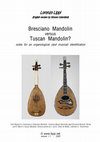 Research paper thumbnail of Bresciano Mandolin versus Tuscan Mandolin?