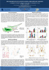 Research paper thumbnail of The inhabitants of ancient Kition: Preliminary insights