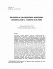 Research paper thumbnail of DEL ESPEJO AL CALEIDOSCOPIO: APARICIÓN Y DESARROLLO DE LA FILOSOFÍA EN EL PERÚ