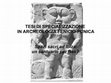 Research paper thumbnail of TESI DI SPECIALIZZAZIONE IN ARCHEOLOGIA FENICIO-PUNICA Spazi sacri ad Ibiza: un santuario per Bes