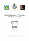 Research paper thumbnail of Catalogo della sezione di Paleontologia Preistoria e Protostoria