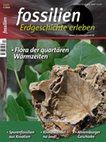 Research paper thumbnail of Der Ginkgo – uralt, einzigartig, faszinierend