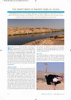 Research paper thumbnail of The desert birds of Ancient Gebel el-Silsila