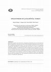 Research paper thumbnail of Speleothems of Catalhoyuk, Turkey ""ERDOĞU, B. , I. T. UYSAL, O. ÖZBEK, Ü. ULUSOY, 2013, Speleothems of Çatalhöyük, Turkey, Mediterranean Archaeology & Archaeometry: An International Journal, Volume 13, No.1