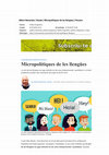 Research paper thumbnail of Micropolítiques de les llengües [Language micropolicies] [Micropolíticas de las lenguas]