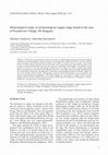 Research paper thumbnail of Mineralogical study of archaeological copper slags found in the area of Krushevets Village, SE Bulgaria