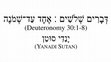 Research paper thumbnail of Hebrew Exegesis of Deuteronomy 30:1-8