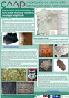 Research paper thumbnail of Zoomorfos na cerâmica da Idade do Ferro no NW Peninsular: inventário, cronologias e significado