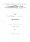 Research paper thumbnail of TÉREYGEOL (F.) (dir), Projet Collectif de Recherche paléométallurgies et expérimentations