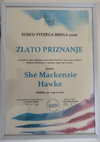 Research paper thumbnail of Zlato Priznanje - Sosed Tvojega Brega 2020
Gold Award