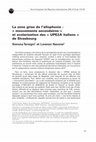 Research paper thumbnail of La zone grise de l'allophonie : « mouvements secondaires » et scolarisation des « UPE2A italiens » de Strasbourg