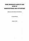 Research paper thumbnail of SOME INDIGENOUS ASPECTS AND SITES OF MAROOCHYDORE AND COTTONTREE (Report for Kabi Kabi & CreativeMove